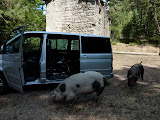 P1080196.JPG