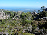 P1080316.JPG