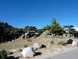 P1080350.JPG