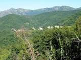 P1080396.JPG