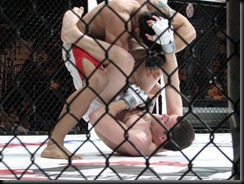 IMG_2539 IMG_2539