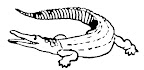 dinosaur colouring page - crocodile