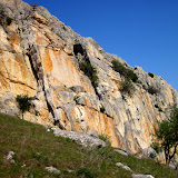 IMG_2302.jpg