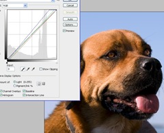 blackdropper image showing the black dropper in the curves function in photoshop