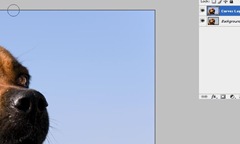 image showing the curves layer on