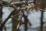 DSC_0042.JPG