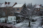 eerste sneeuwlaagje 's morgens in den vroege, d.d. 24/01/07