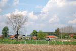 zicht op Houtembos aan Leegbracht