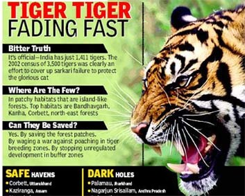 [save-tigers[6].jpg]