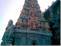 Tsp005