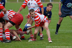  rugby
