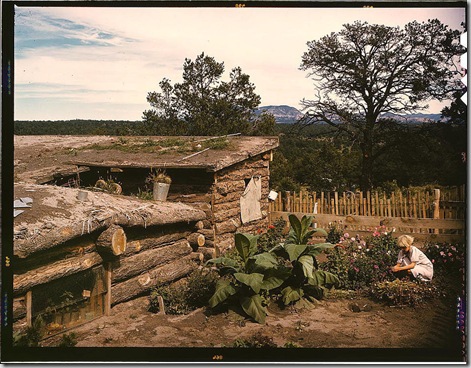 Garden adjacent to the dugout home of Jack Whinery, homesteader. Pie Town, New Mexico, September 1940. Reproduction from color slide. Photo by Russell Lee. Prints and Photographs Division, Library of Congress
