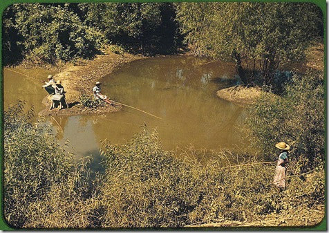 African Americans fishing in creek near cotton plantations. Belzoni, Mississippi, October 1939. Reproduction from color slide. Photo by Marion Post Wolcott. Prints and Photographs Division, Library of Congress