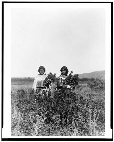 [image162[3].png]