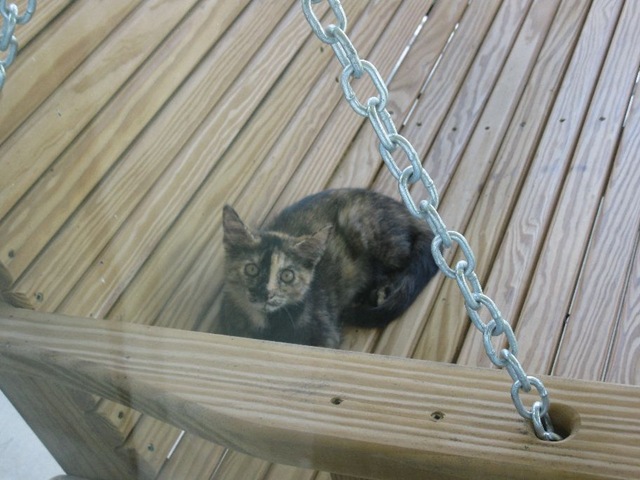 [2009-07-090013 holiday world trip resized[3].jpg]