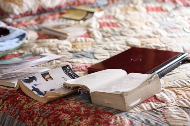 [januarythankfulthings0006_resize5.jpg]