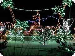 Zoo LIghts