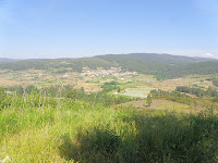 P5232772.JPG Photo