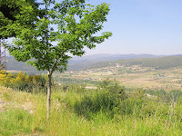 P5232774.JPG Photo