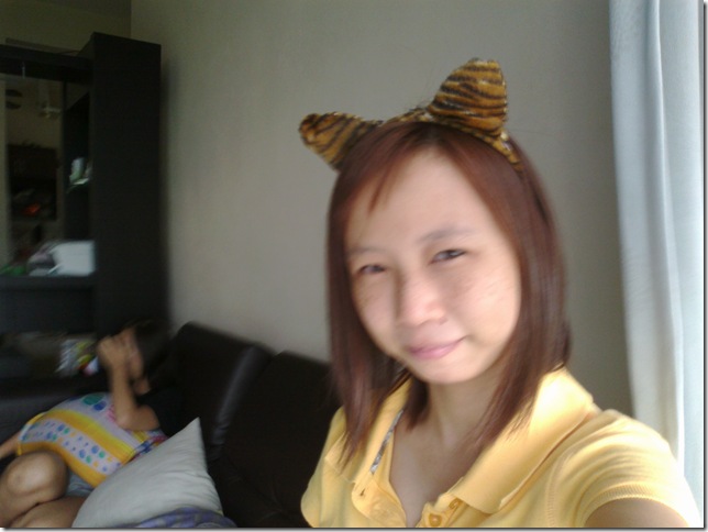 20101029347