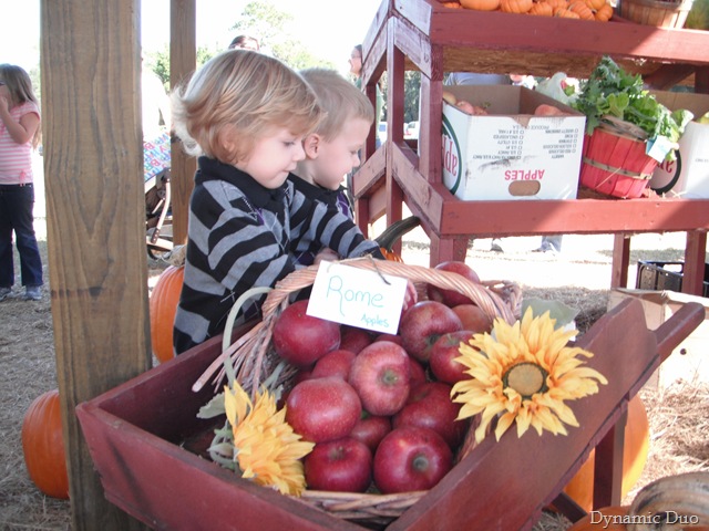 [apple cart[2].jpg]
