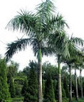 image_scale.jpg image_scale.jpg