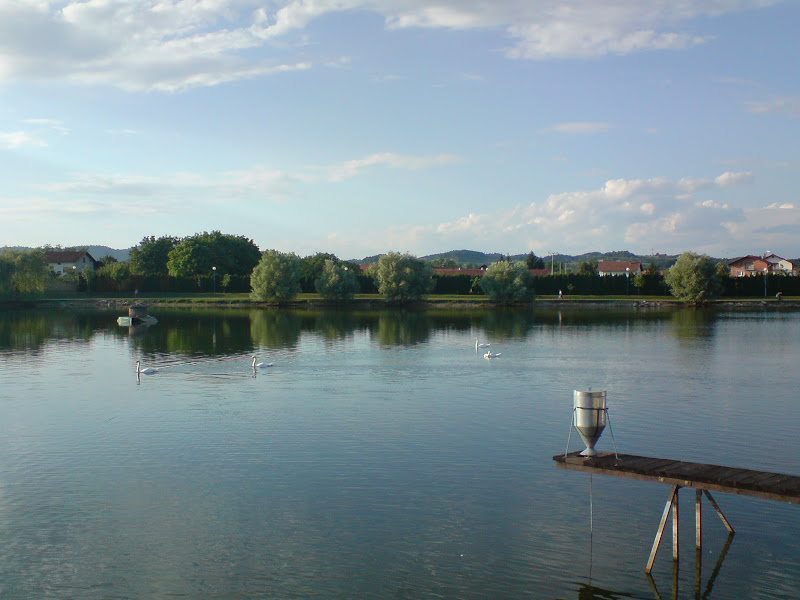 DSC00442.JPG