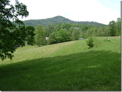 Georgia 2011 016