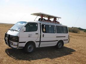 Op safari!