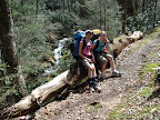 Resting from a steep climb