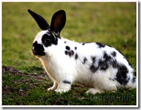 IMG_5579 IMG_5579