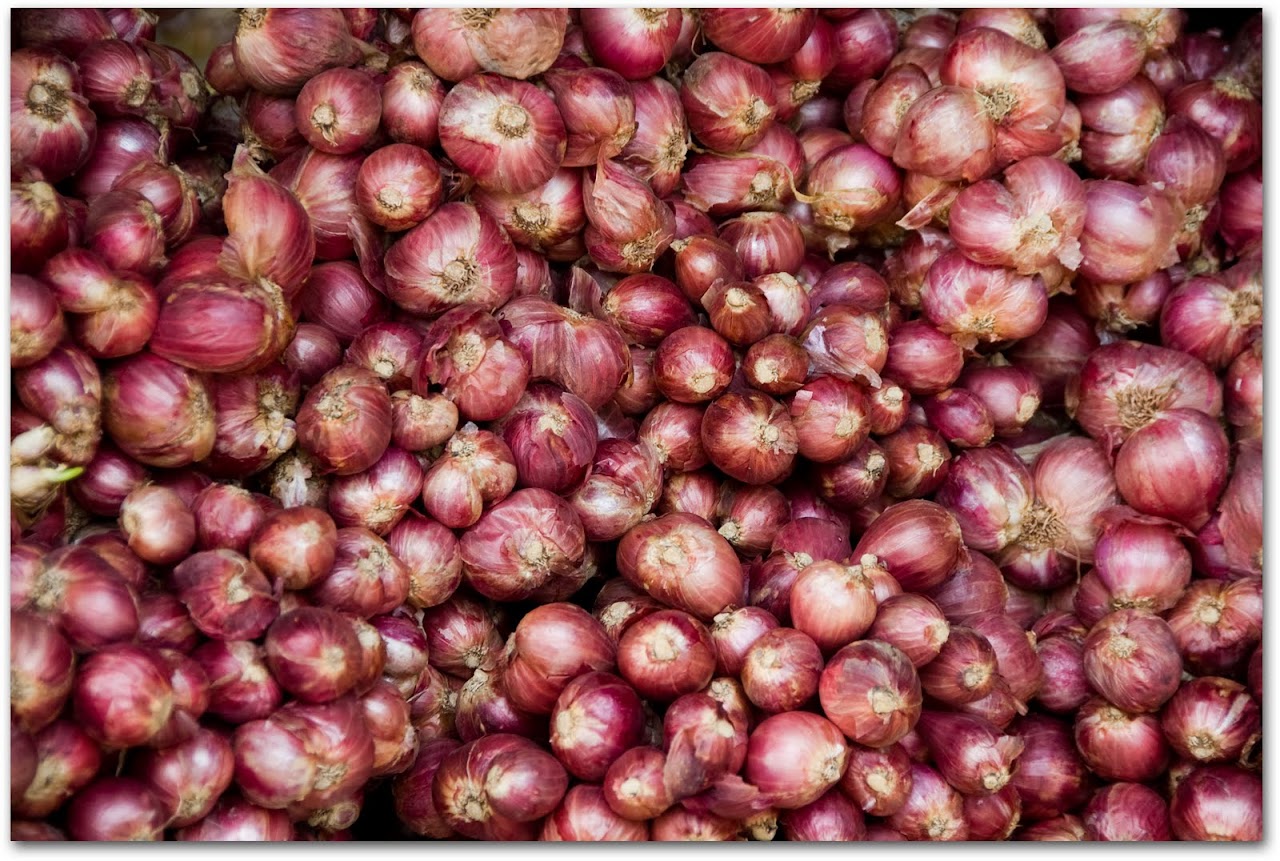 Shallots