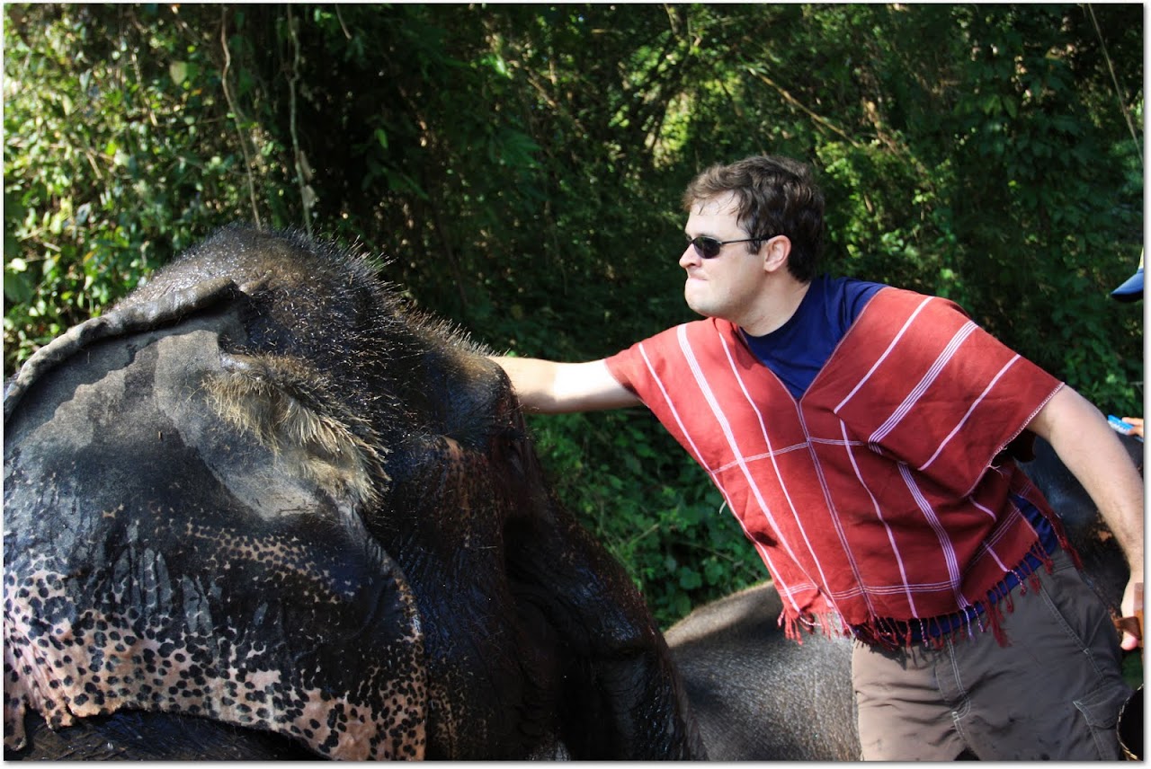 Washing Saithong at Patara Elephant Farm