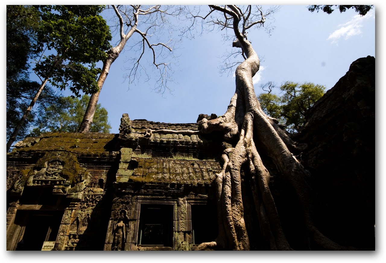 Ta Prohm