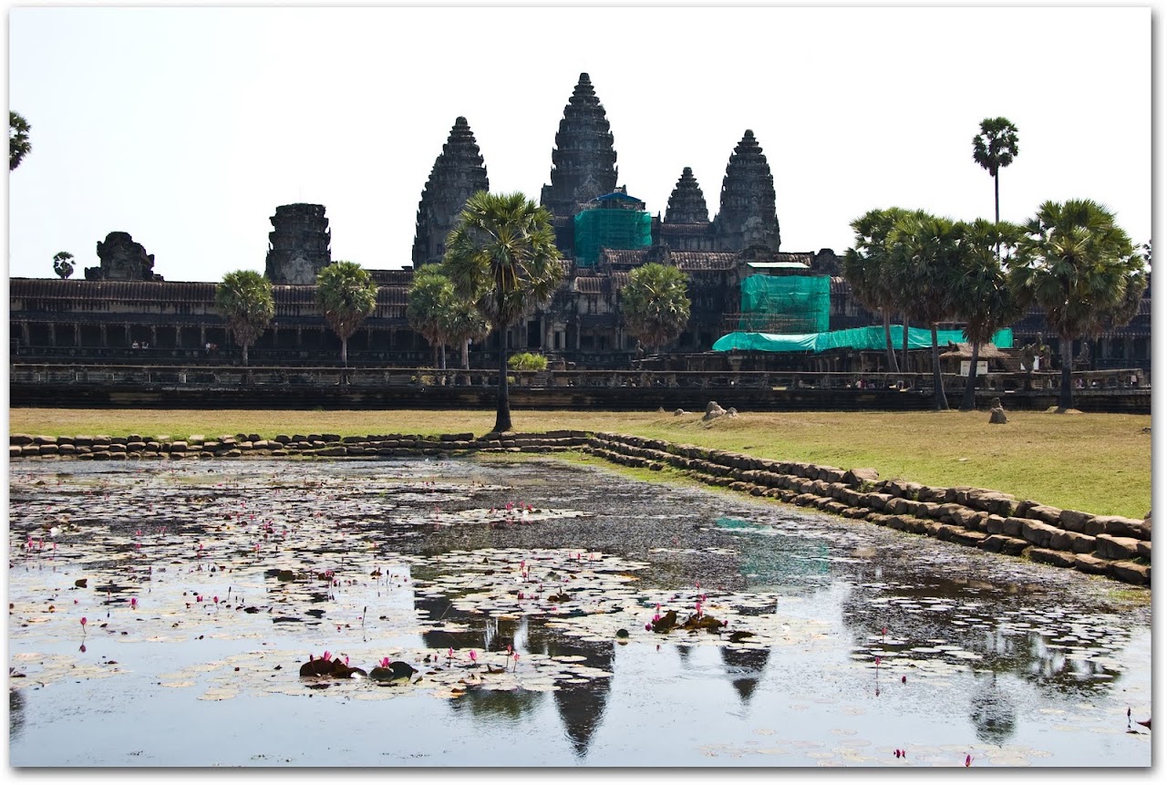 Angkor and lotus petals