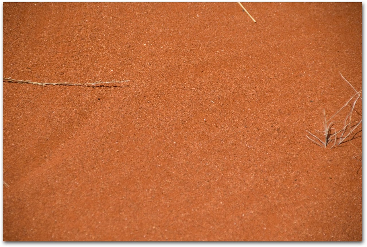 Red sand in Red Centre