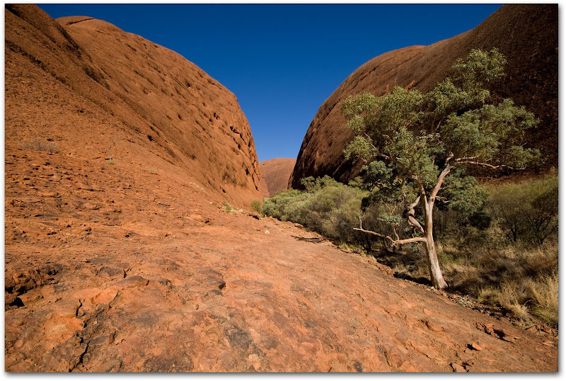 Kata Tjuta