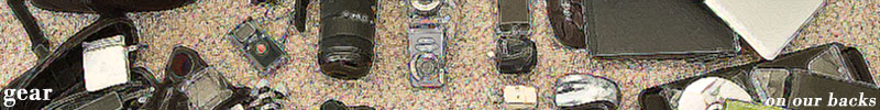 Banner Banner