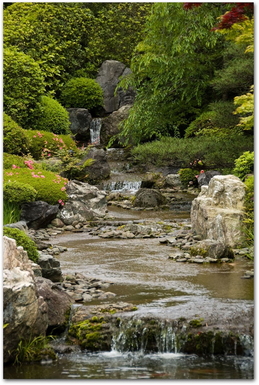 Myoshinji Temple