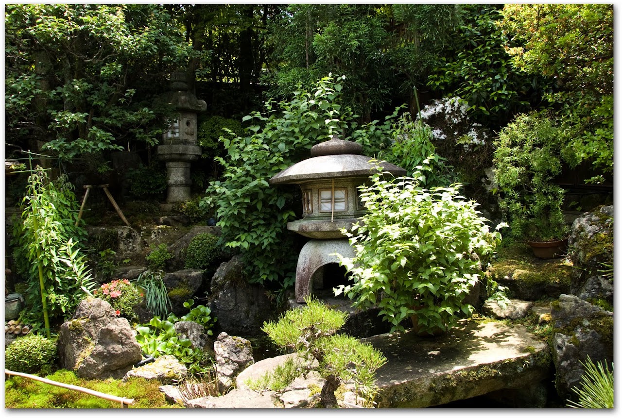 Tea garden