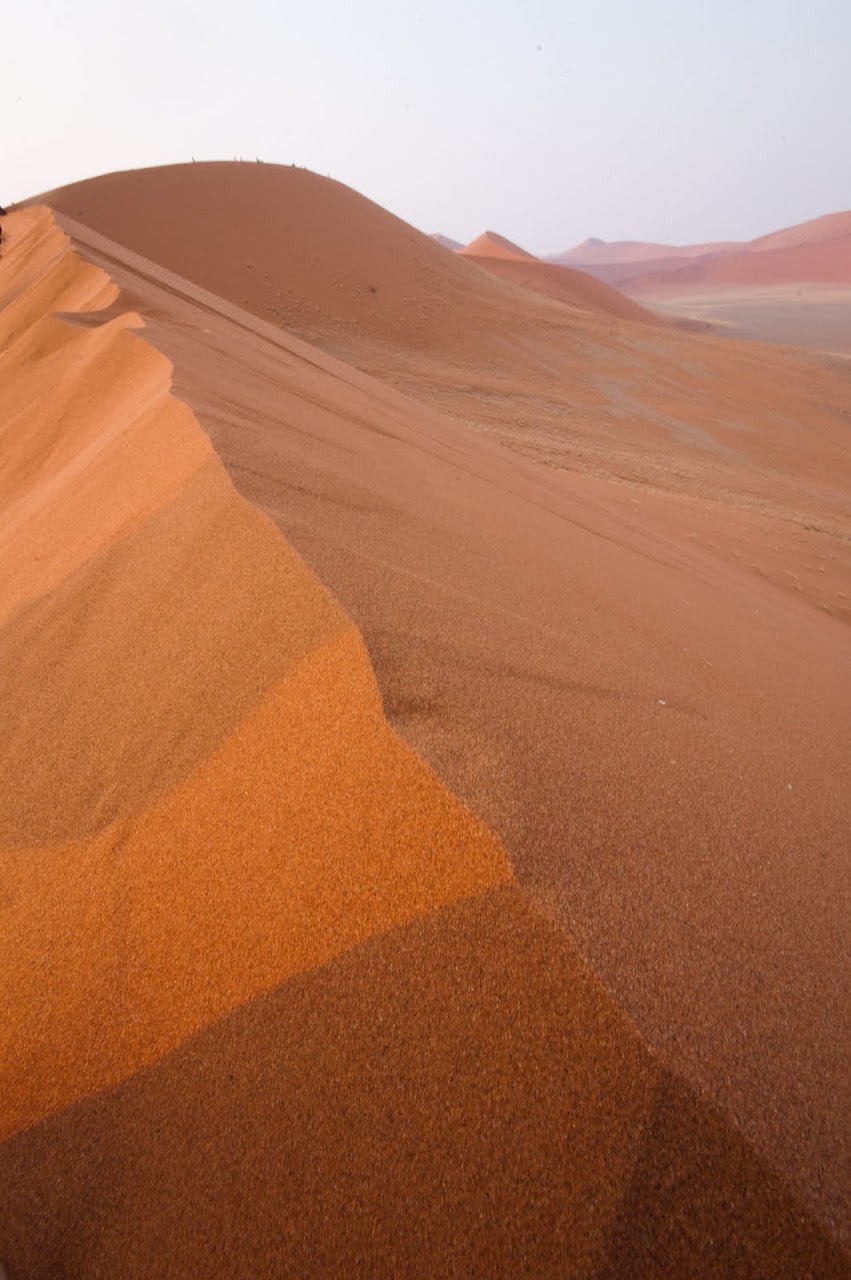 Namib desert dune