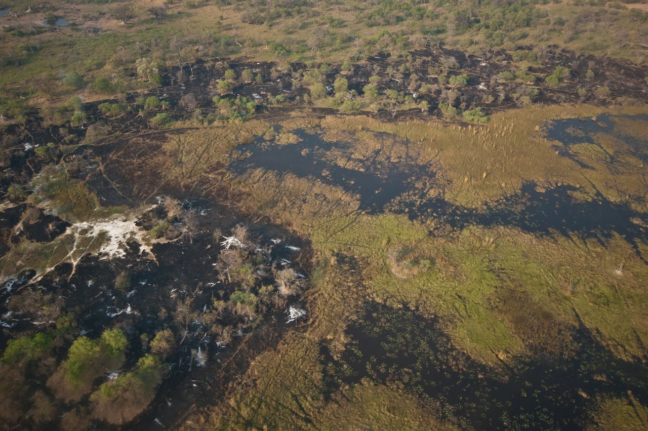 Okavango Delta