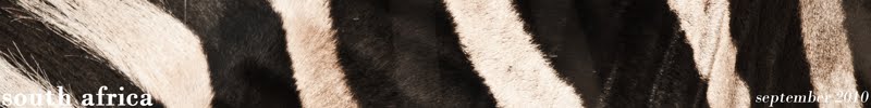 Banner Banner