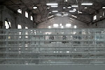 R0021749.JPG
