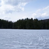DSC05534.JPG