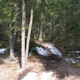 DSC05510.JPG