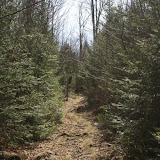 the trail