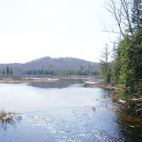 pond behind it