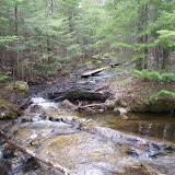 crossing the stream... or just go right through it