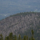 DSC05762.JPG